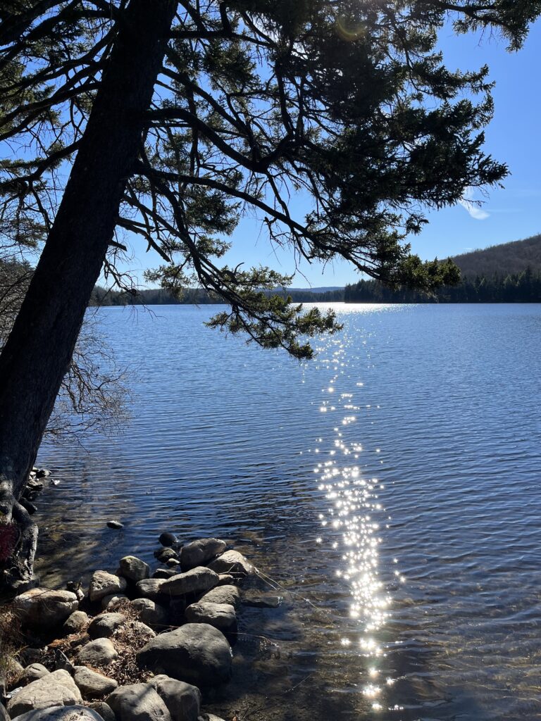 Lake Scene